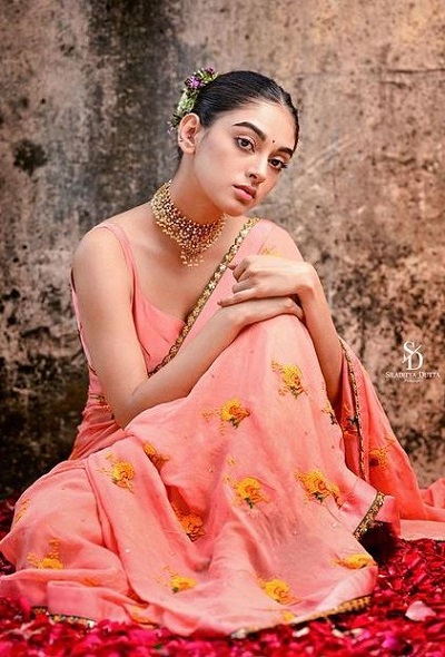 Bibriti Chatterjee Career & Net Worth