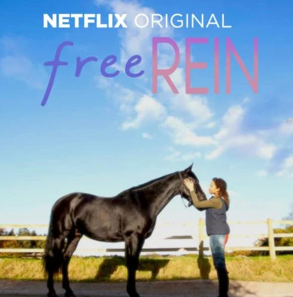 Danny Griffin debut TV series