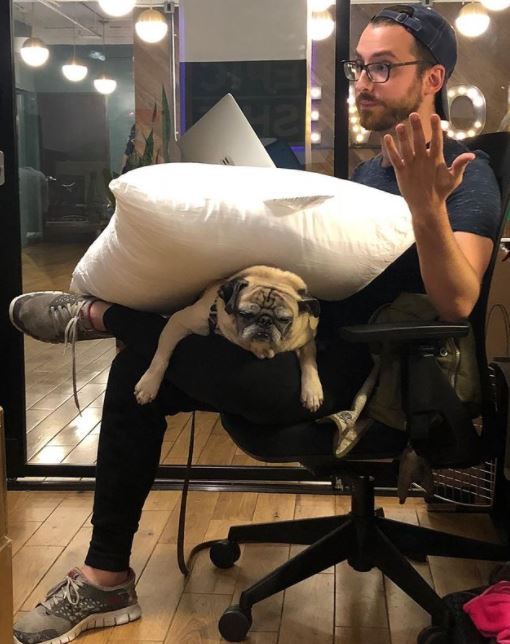 Jongraz's net worth