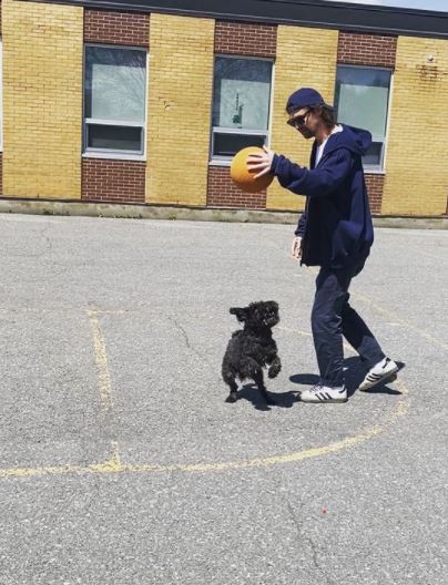 Menno Versteeg plays basketball