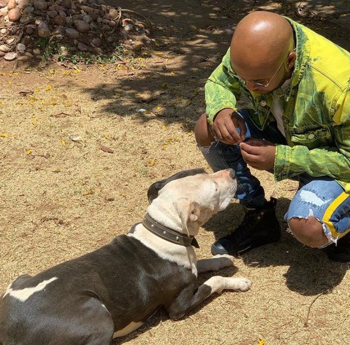 Vusi Nova an animal lover