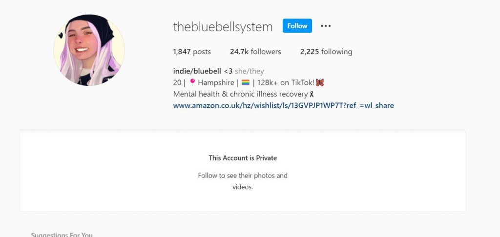The Bluebell System IG profile