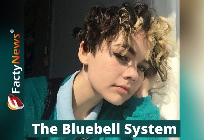 The Bluebell System