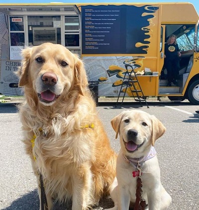 Samantha Daily's pet dogs