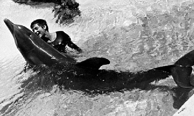 Margaret Howe Lovatt And Her Sexual Encounters With A Dolphin