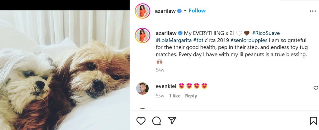 Sara Azari's pet dogs