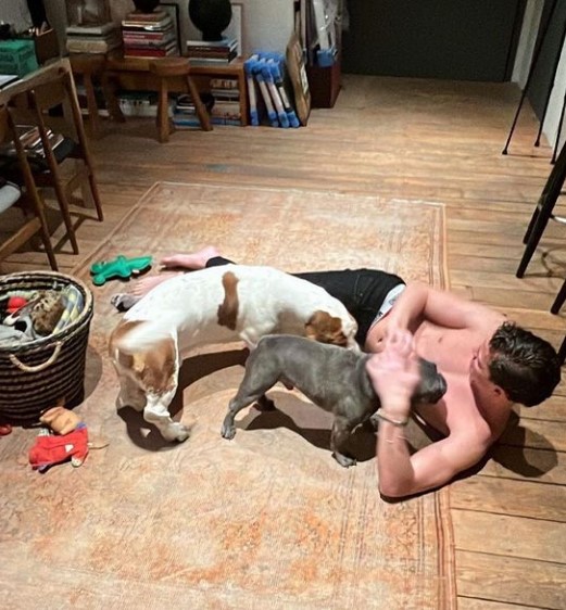 Bobby Brazier loves dogs