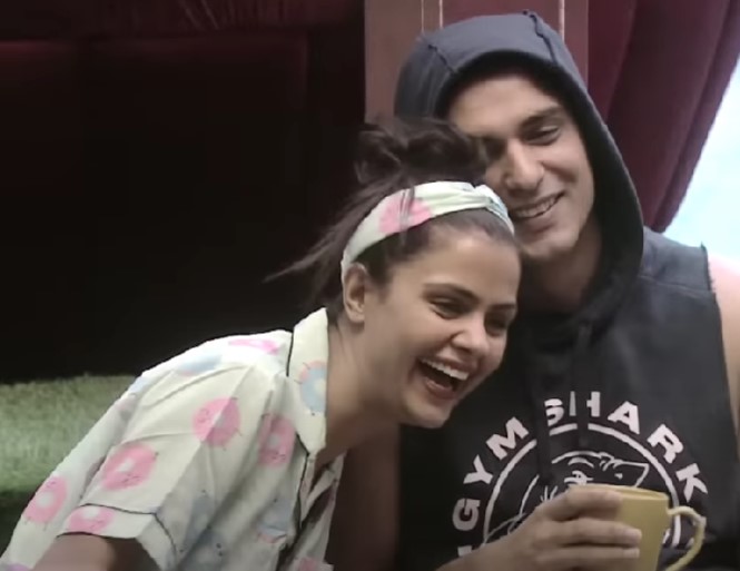 Priyanka Chahar Choudhary appeared in the reality show Bigg Boss 16