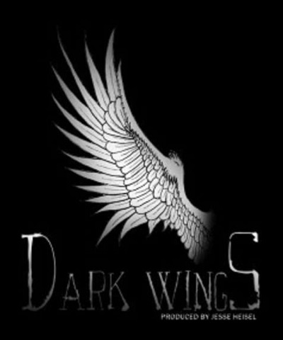 Casey Hartnett acted in Dark Wings