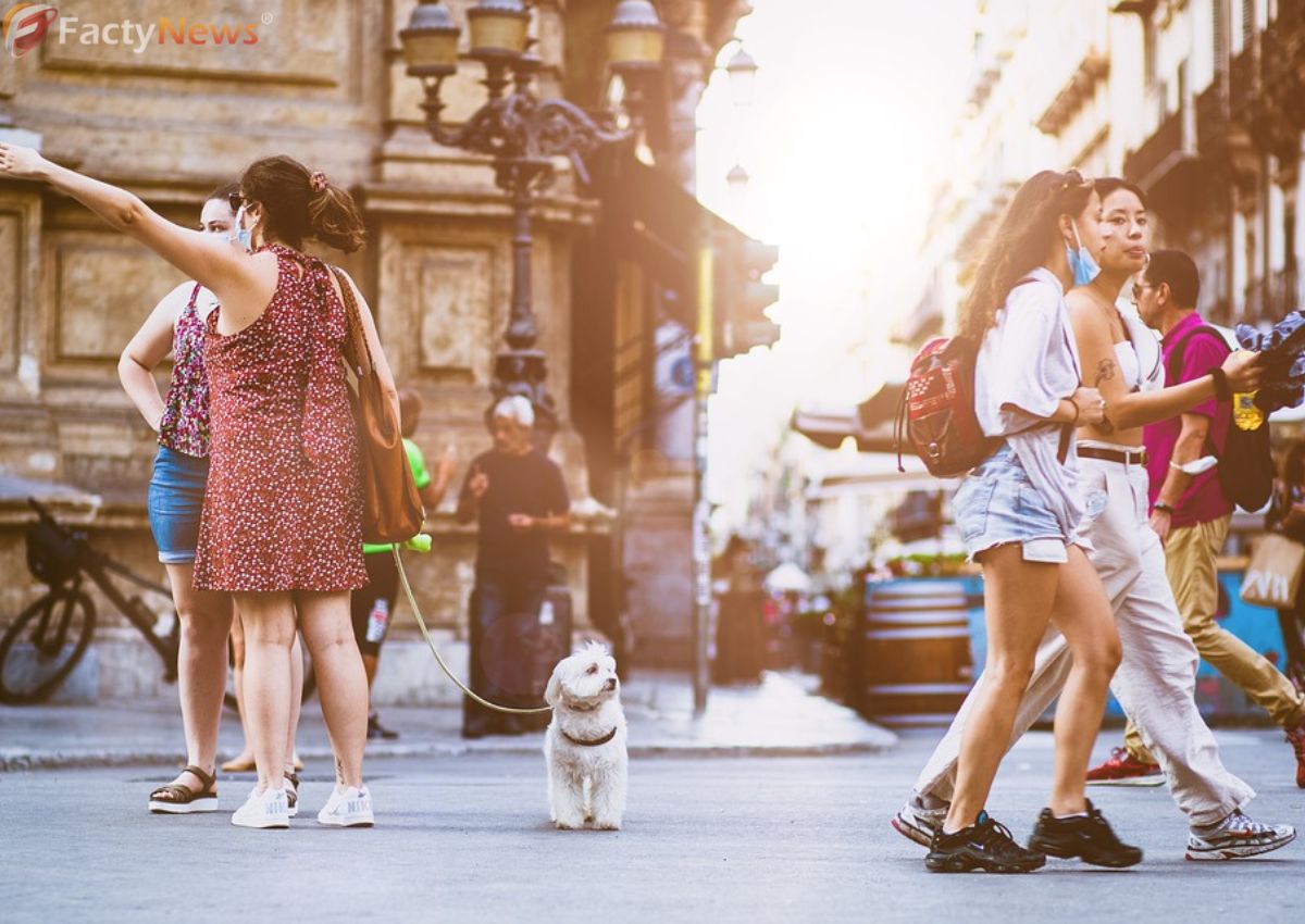 Heart Attacks and High Blood Pressure are Linked to Air Pollution Among Teenagers