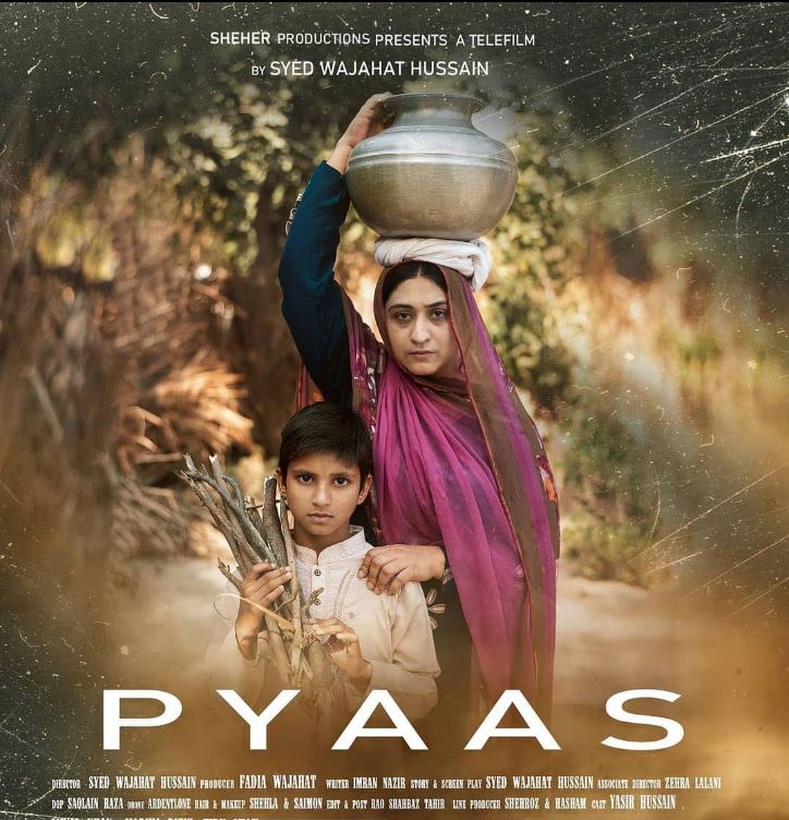 Madiha Rizvi has appeared in the daily soap Pyaas
