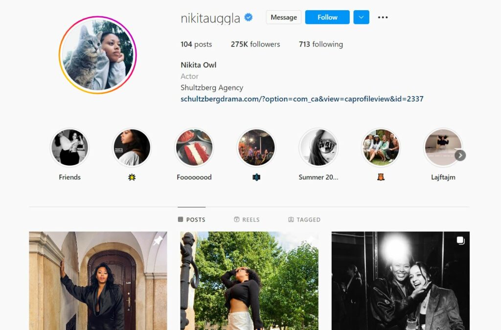 Nikita Uggla's Instagram profile