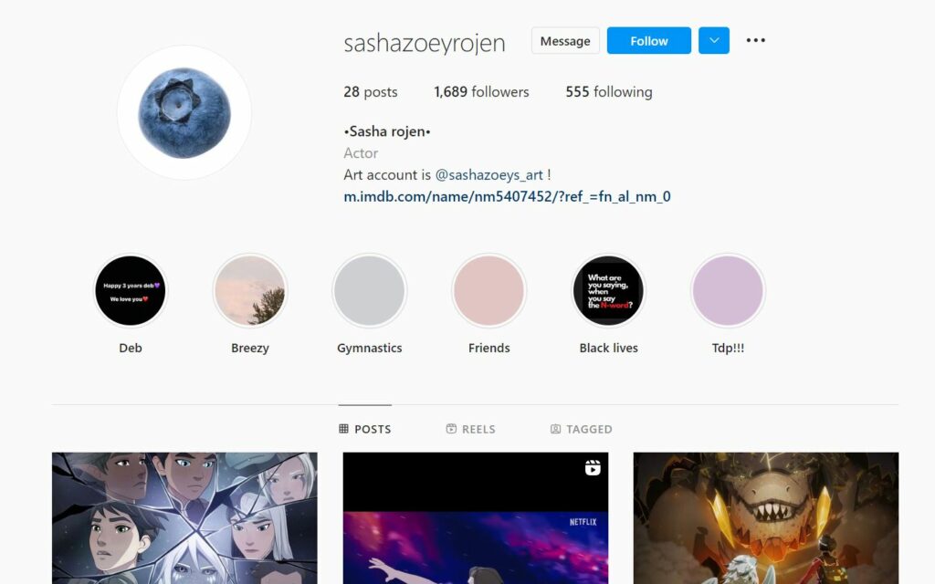 Sasha Rojen's Instagram profile