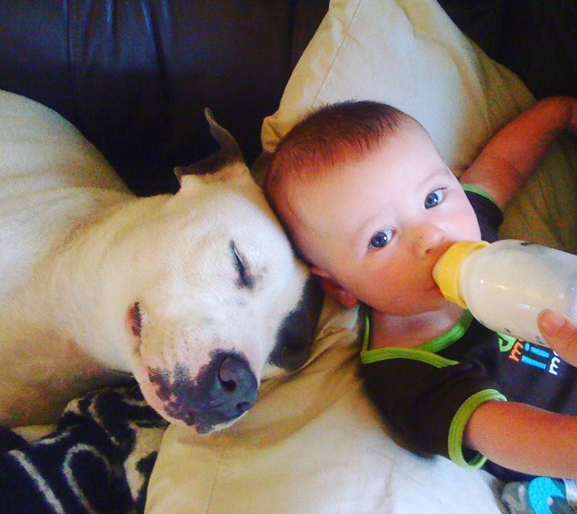 A childhood image of Poxton Booth with his dog