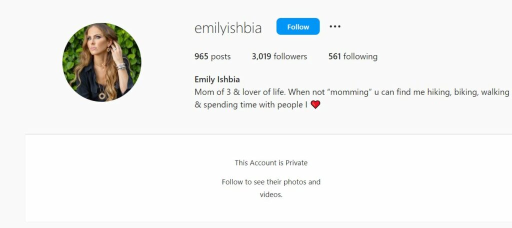 Emily Ishbia's Instagram profile