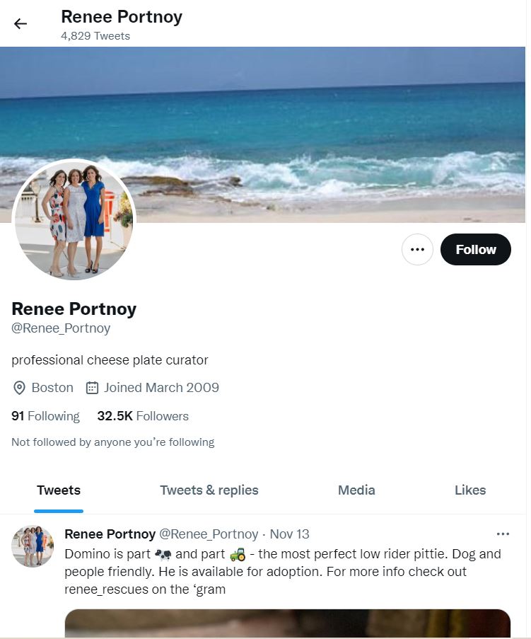 Renee Portnoy's Twitter profile