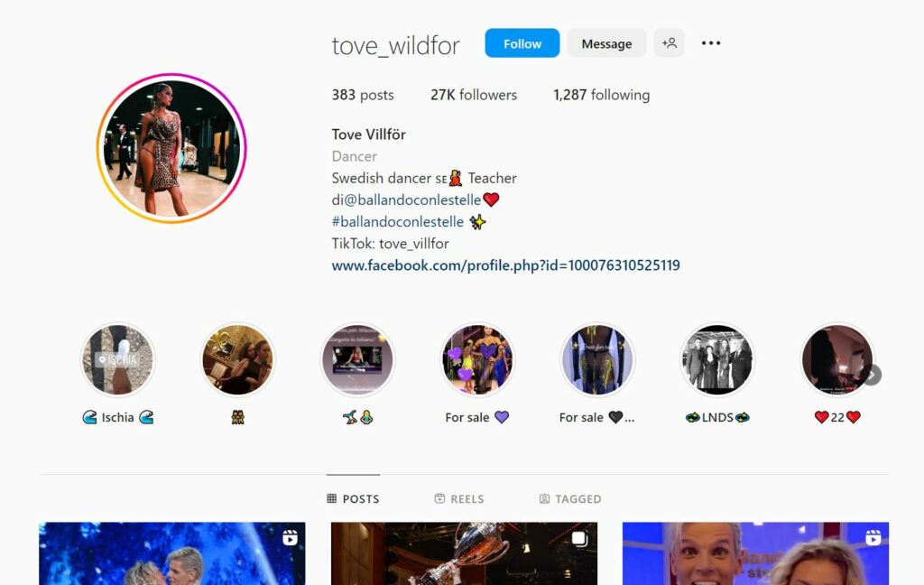 Tove Villfor's Instagram profile