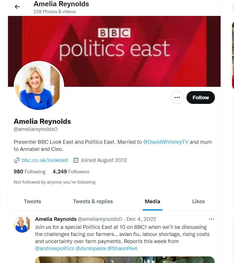 Amelia Reynolds's Twitter profile