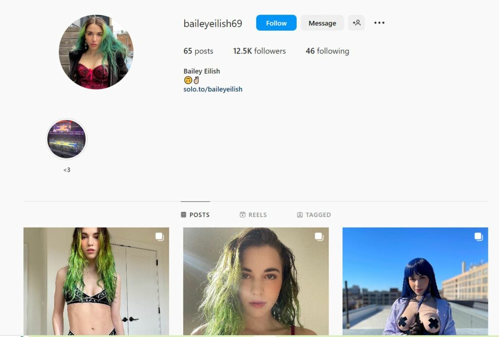 Bailey Eilish's Instagram profile