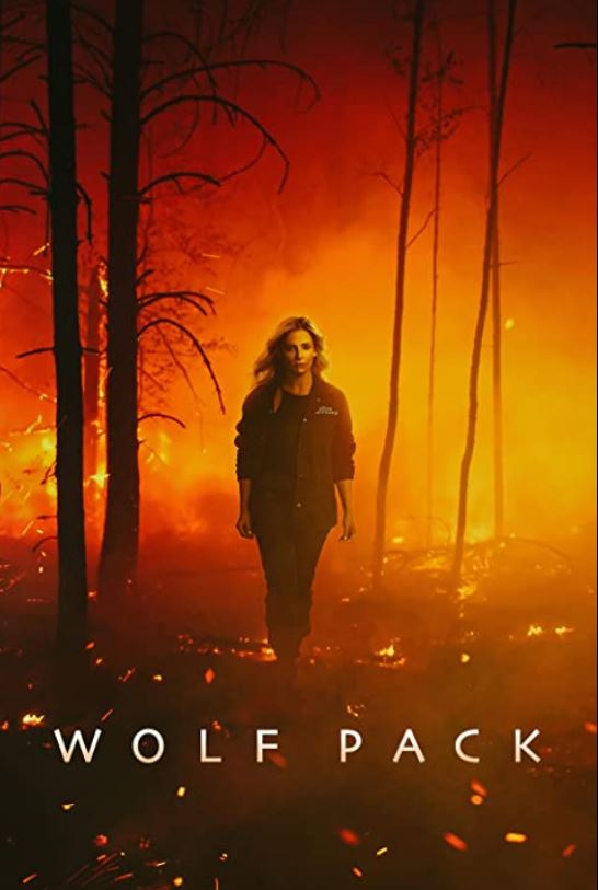 Tyler Lawrence Gray is famous for his upcoming TV series Wolf Pack