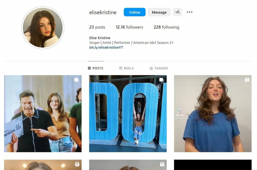 Elise Kristine's Instagram profile