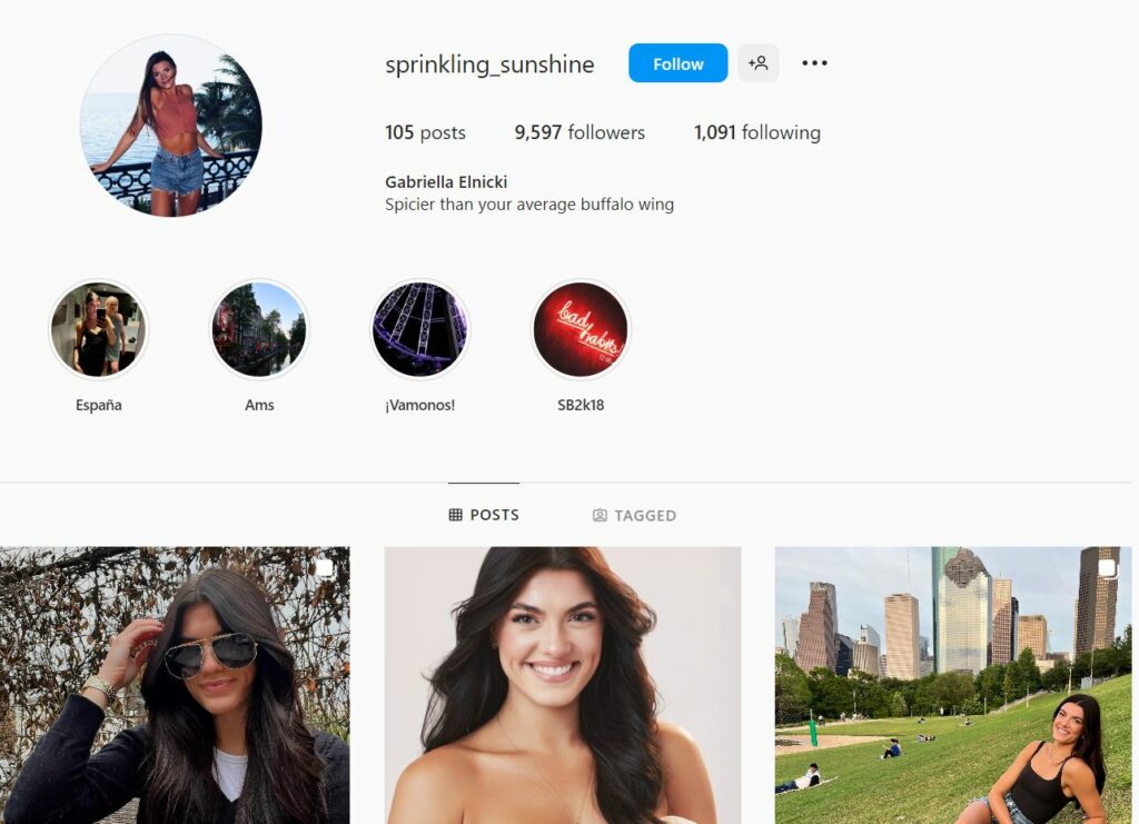 Gabriella Elnicki's Instagram profile