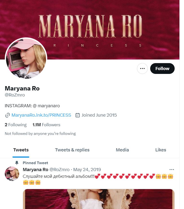Maryana Ro's Twitter profile