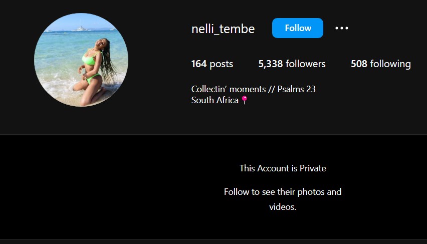 Nellie Tembe's Instagram