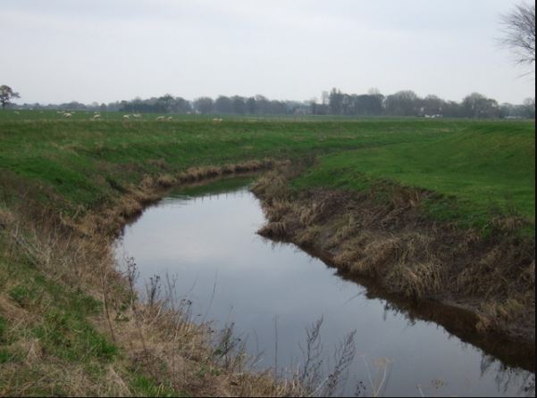 Nicola Bulley's dead body was found in the River Wyre
