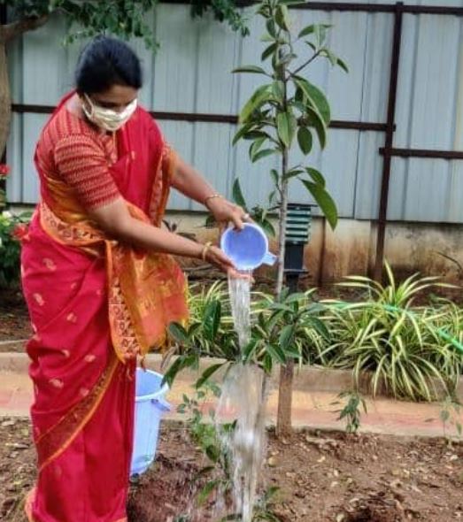 Shaik Yasmeen Basha loves to plant new trees