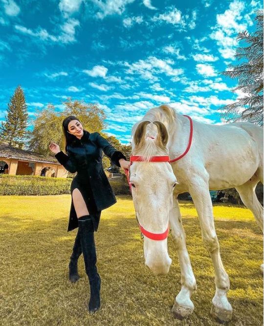 lira Soni is an animal lover