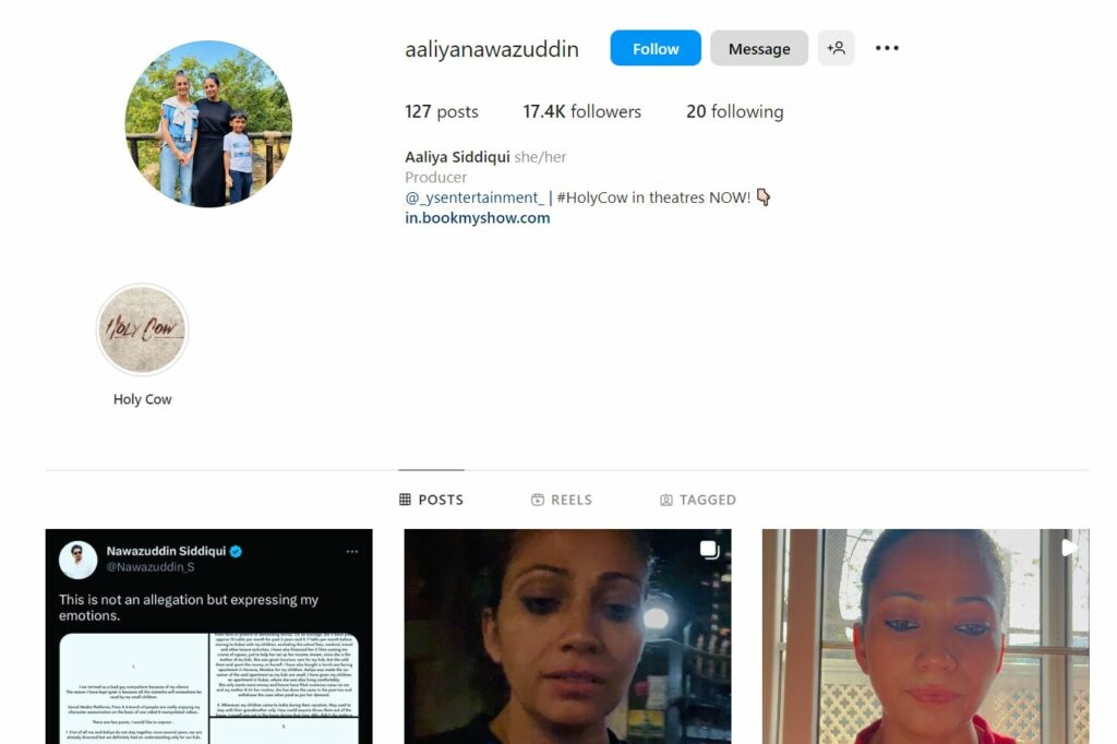 Aaliya Siddiqui's Instagram profile