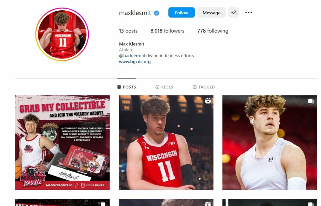 Max Klesmit's Instagram profile