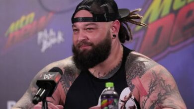 Bray Wyatt Death Reason
