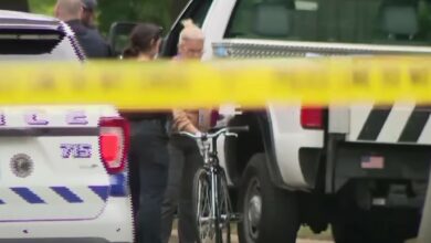 Highland Park Shooting