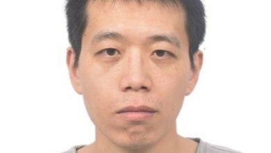 Tailei Qi Wiki