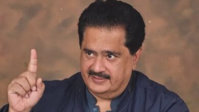 Nabil Gabol