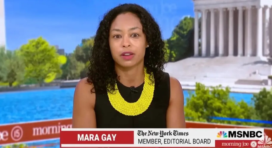 Mara Gay profession