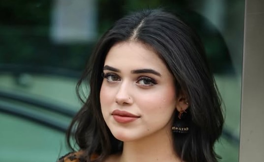 Alina Amir