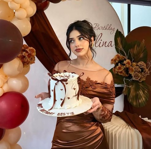 Alina Amir bio