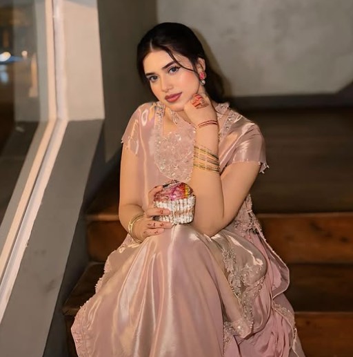 Alina Amir wikipedia