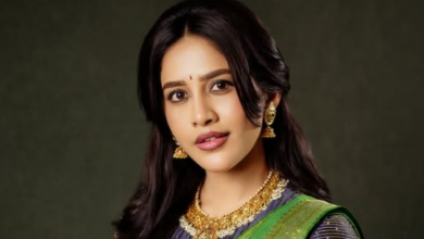 Nabha Natesh